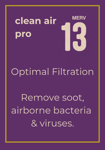 Clean Air Pro (MERV 13)