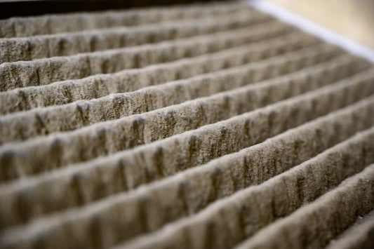 February Allergy Alert: Why Indoor Air Quality Peaks as a Problem This Month