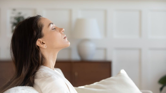 Aerterra Launches Eco-Friendly, Subscription-Based Air Filters for Healthier Homes and a Greener Planet