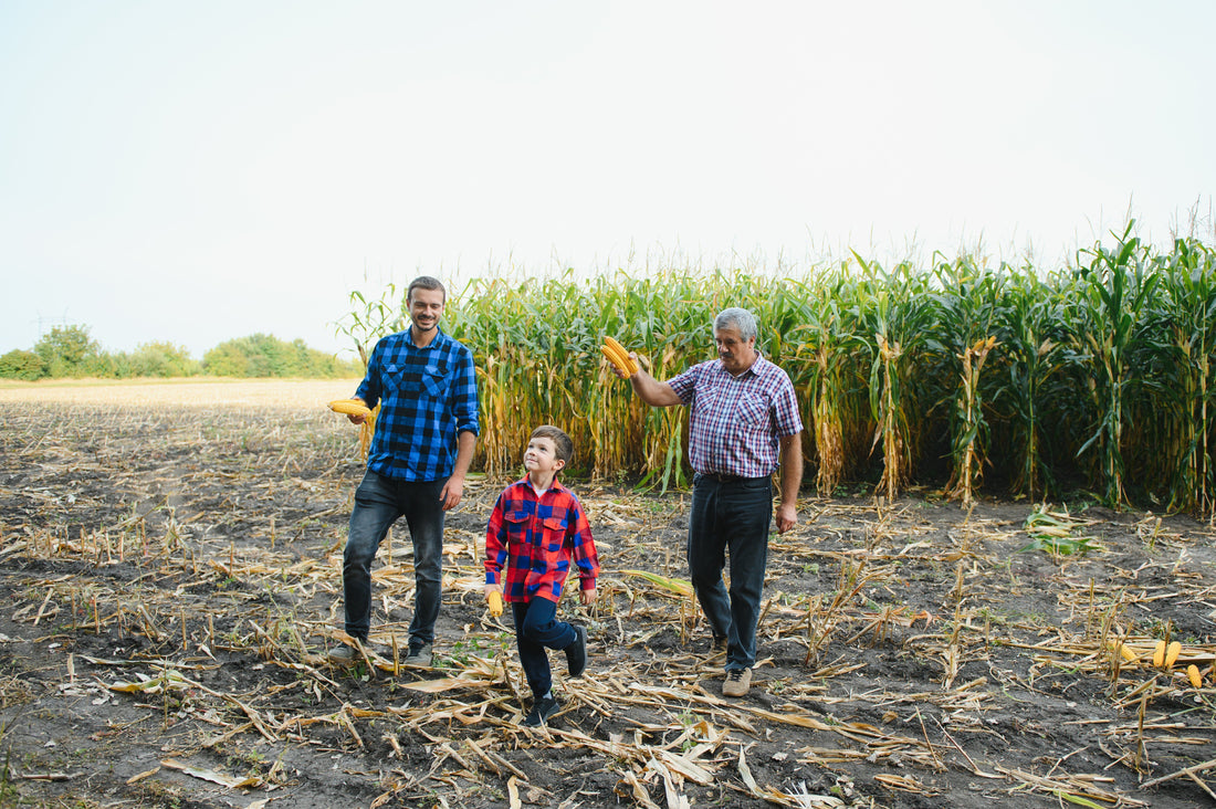 Healthy Farm Home Guide: Indoor Air Quality for Farm Families