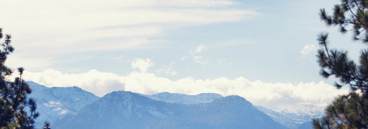 A Breath of Fresh Air: The Story Behind Aerterra Air Filters