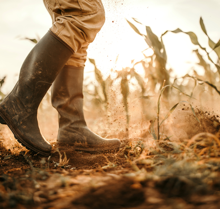 Impact Rooted in Rural America