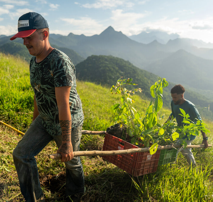 Restoring forests, protecting ecosystems